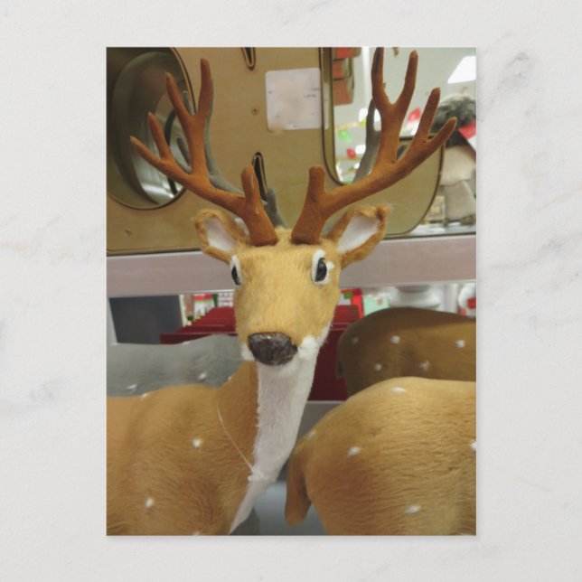 Postal Deer decorativo (Anverso)