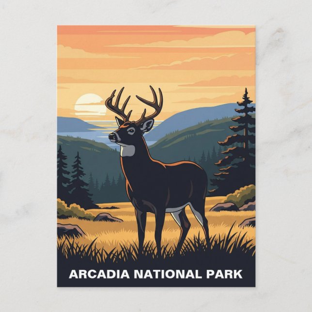 Postal Deer en el Parque Nacional Arcadia (Anverso)