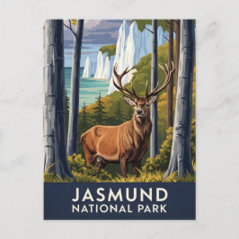 Postal Deer en el Parque Nacional de Jasmund Viajes Alema