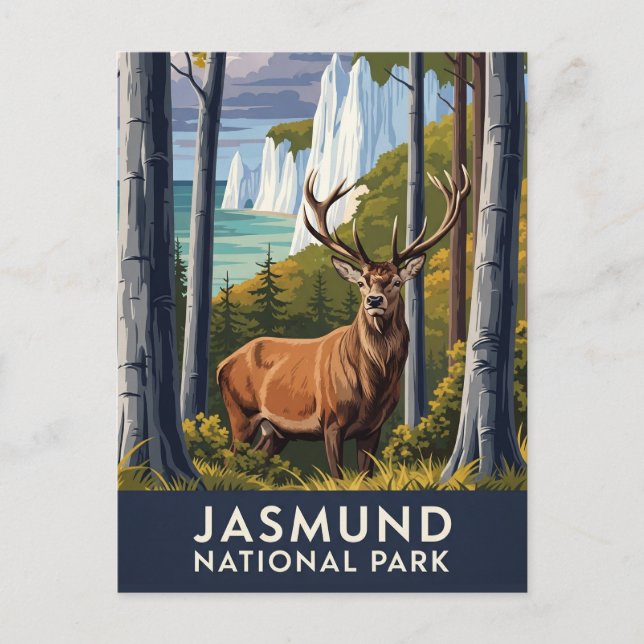 Postal Deer en el Parque Nacional de Jasmund Viajes Alema (Anverso)