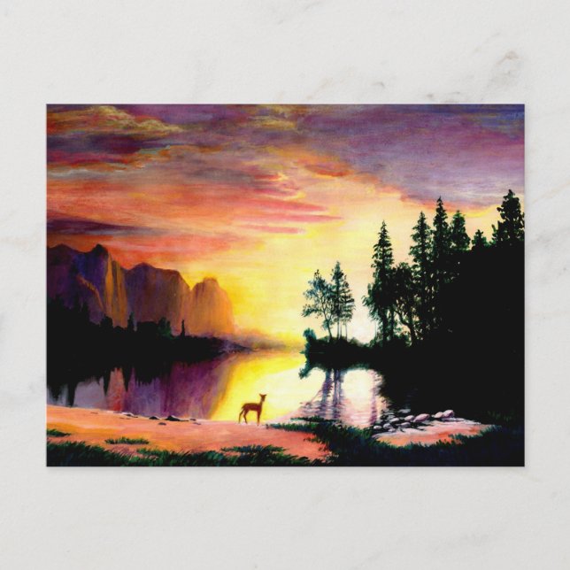 Postal Deer en la impresión fotográfica del amanecer (Anverso)