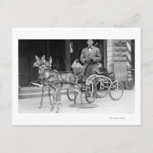 Postal Deer entrenado se aprovecha en un extraño Sleigh s