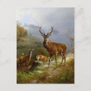 Postal Deer majestuoso ~