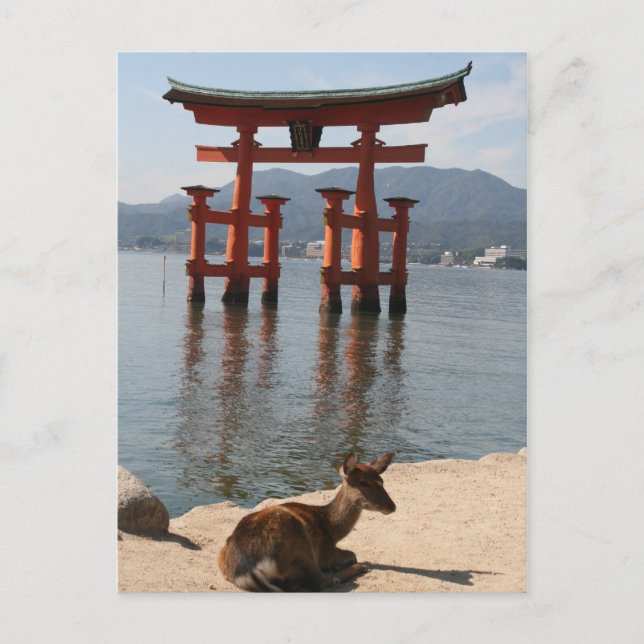 Postal deer miyajima (Anverso)