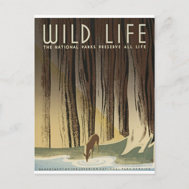 Postal Deer & Stream (Anverso)