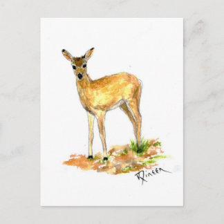 postal Deer Wildlife