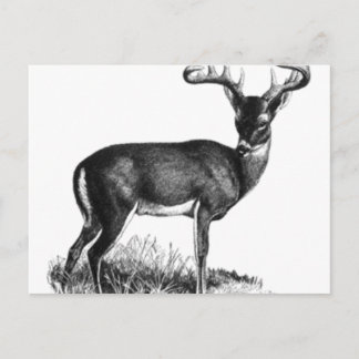 Postal deergif