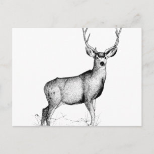 Postal deergif masculino