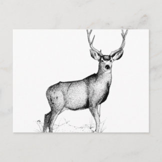 Postal deergif masculino
