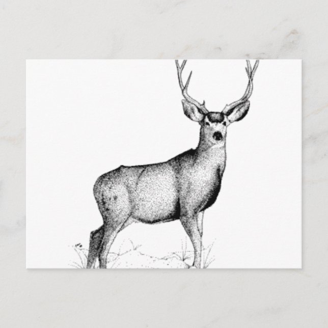 Postal deergif masculino (Anverso)