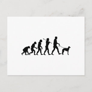 Postal Deerhound escocés
