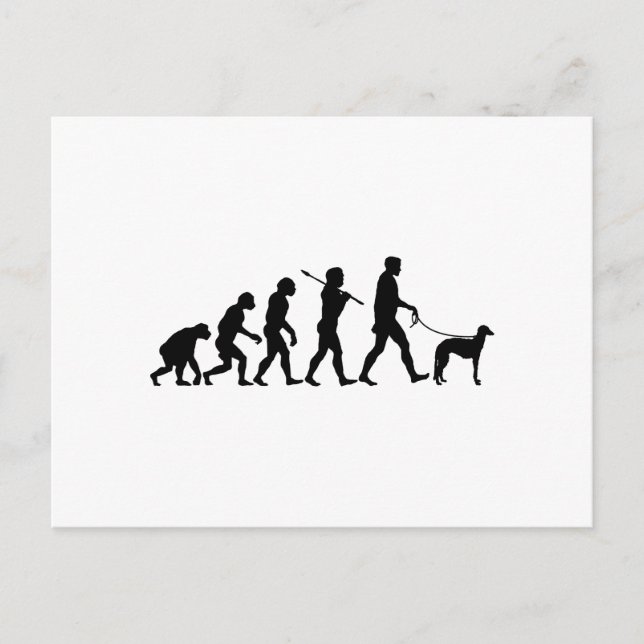 Postal Deerhound escocés (Anverso)