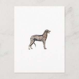 Postal Deerhound escocés
