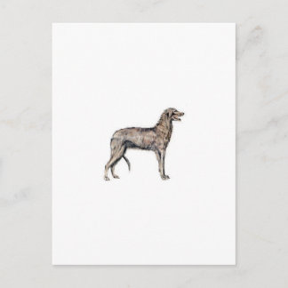 Postal Deerhound escocés