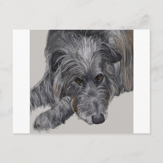 Postal Deerhound escocés (Anverso)
