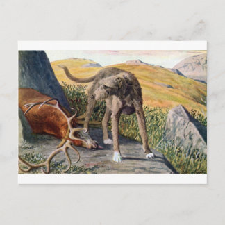 Postal Deerhound escocés