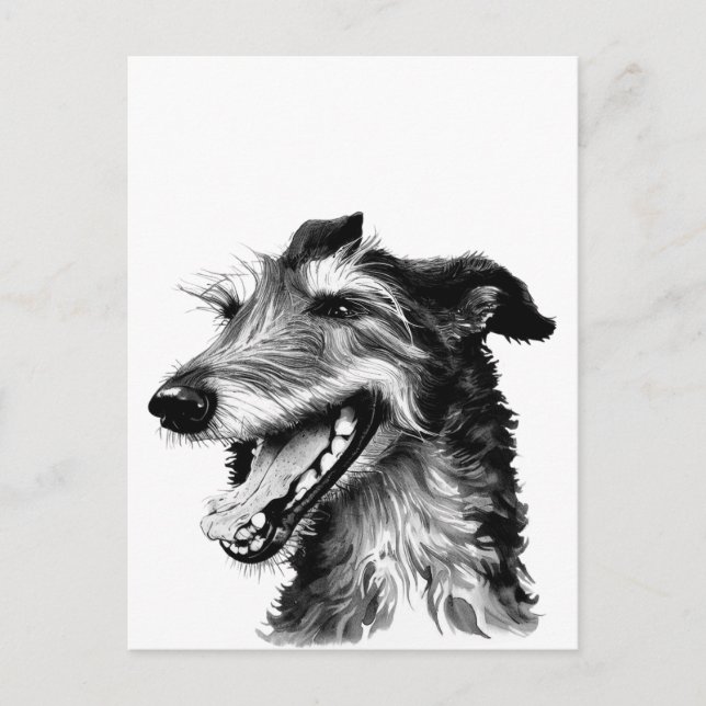Postal Deerhound negro y blanco | Curte Hound (Anverso)