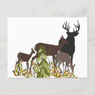 Postal Deers in the Wild. Animales forestales