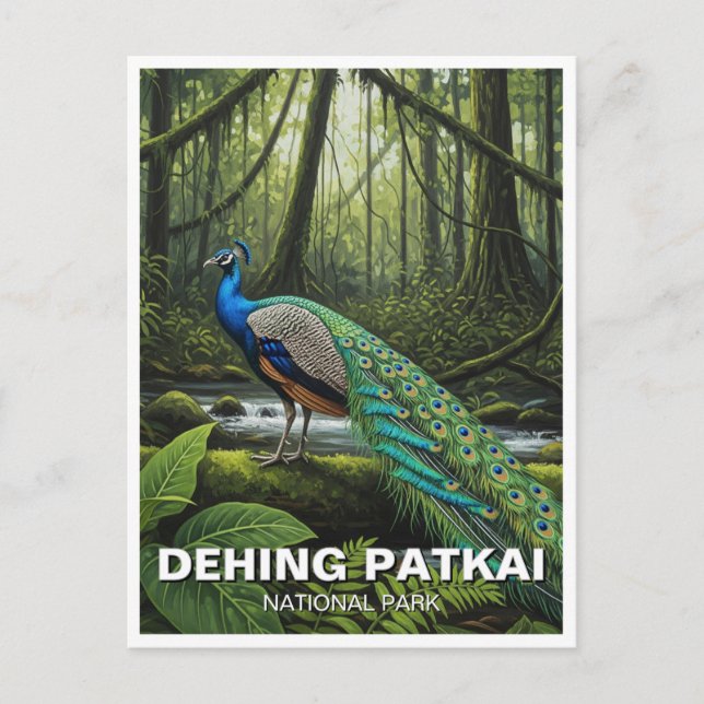 Postal Dehing Patkai National Park India Travel (Anverso)