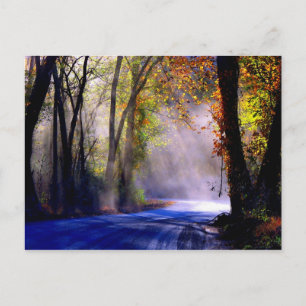 Postal Deja que tu luz brille