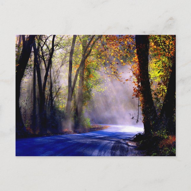 Postal Deja que tu luz brille (Anverso)