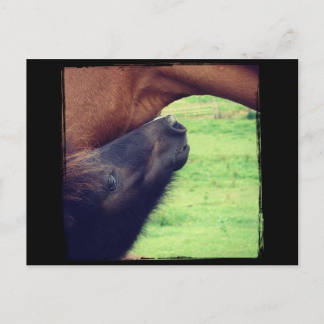 Postal Déjame Decirte Un Secreto (Anverso)