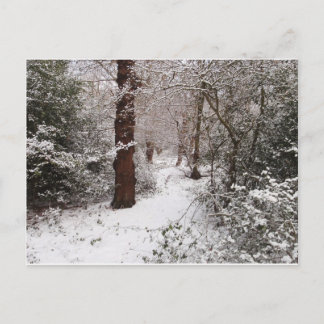 Postal Dejando el bosque en la nieve.