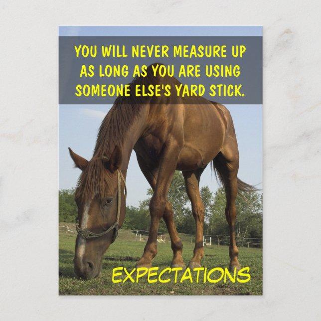 Postal Dejar de tratar de satisfacer las expectativas de  (Anverso)