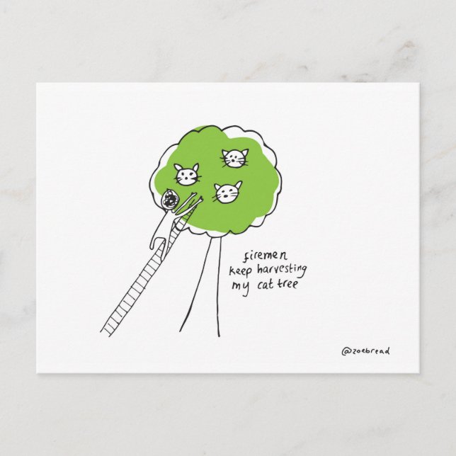 postal del árbol del gato (Anverso)