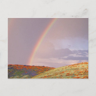Postal del arco iris