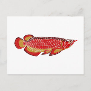 postal del arowana