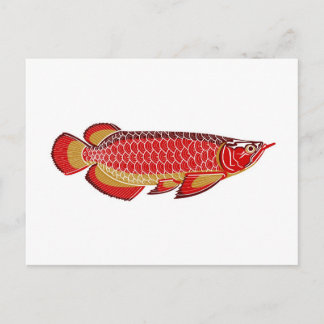 postal del arowana