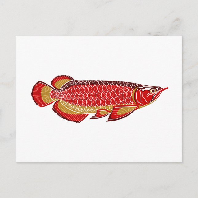 postal del arowana (Anverso)