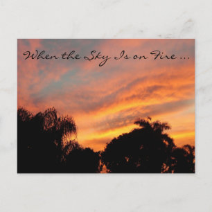 Postal del atardecer de Florida / Cuando el cielo 