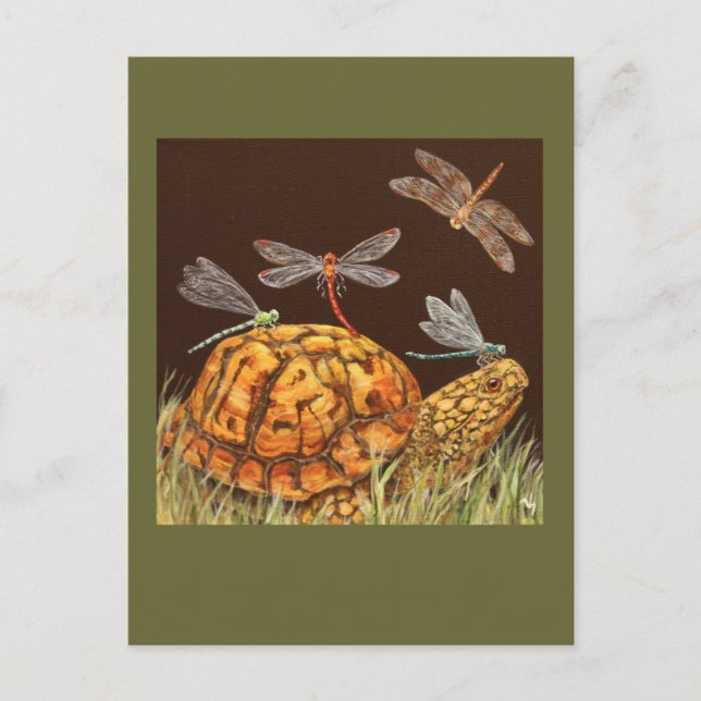 postal del autobús escolar de la tortuga (Anverso)