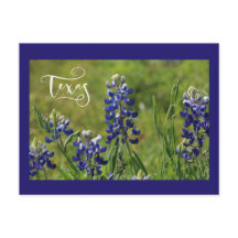 Postal del Bluebonnet de Tejas