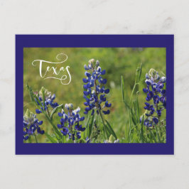 Postal del Bluebonnet de Tejas