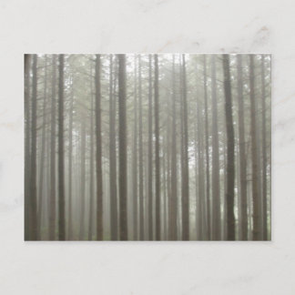 Postal del bosque de niebla