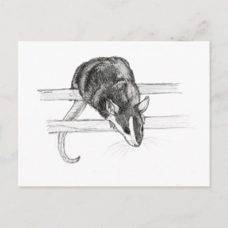 Postal del bosquejo del ratón del mascota de
