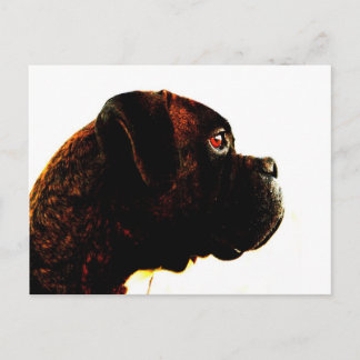 Postal del boxeador Brindle