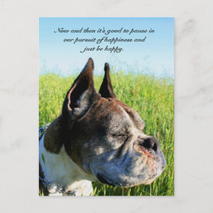 postal del boxeador de felicidad