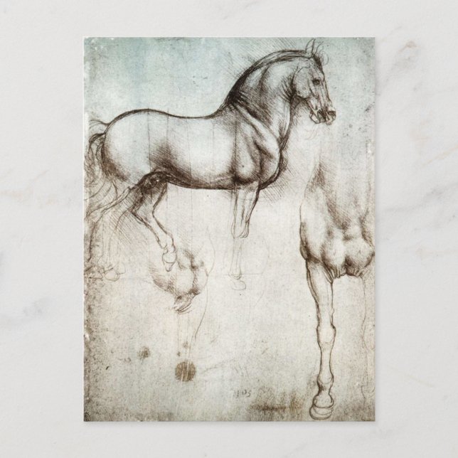 Postal del caballo de da Vinci (Anverso)