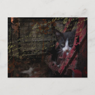 postal del callejón 007