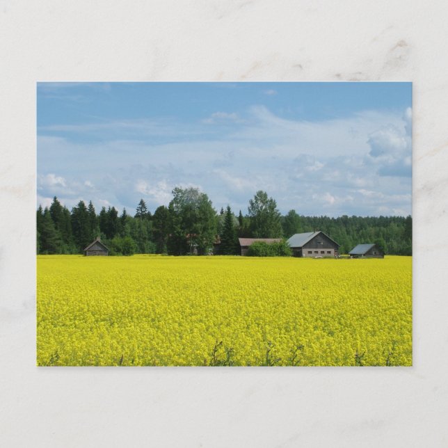 Postal del campo finlandés (Anverso)