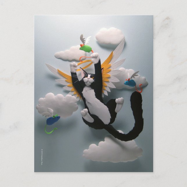 Postal del cielo del gato (Anverso)