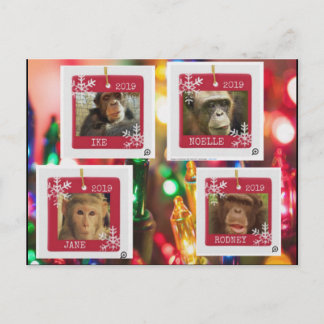 postal del cindy de rescate de primates