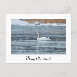 Postal del cisne de nieve navideño