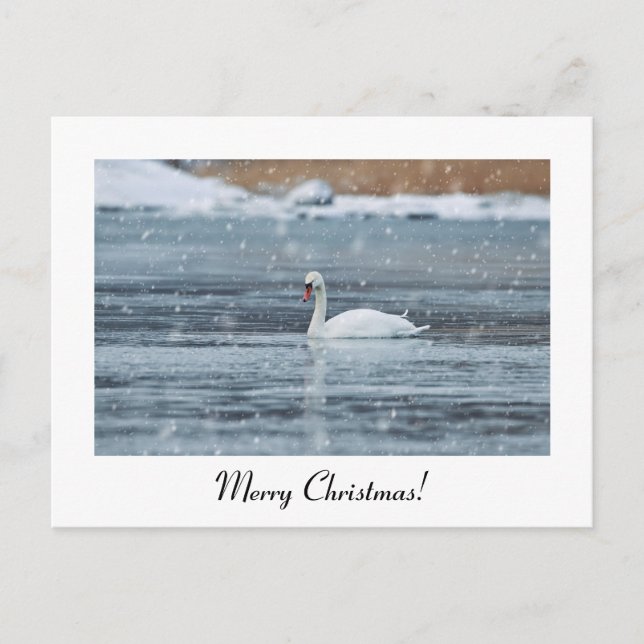 Postal del cisne de nieve navideño (Anverso)