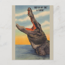 Postal del cocodrilo de la Florida del vintage