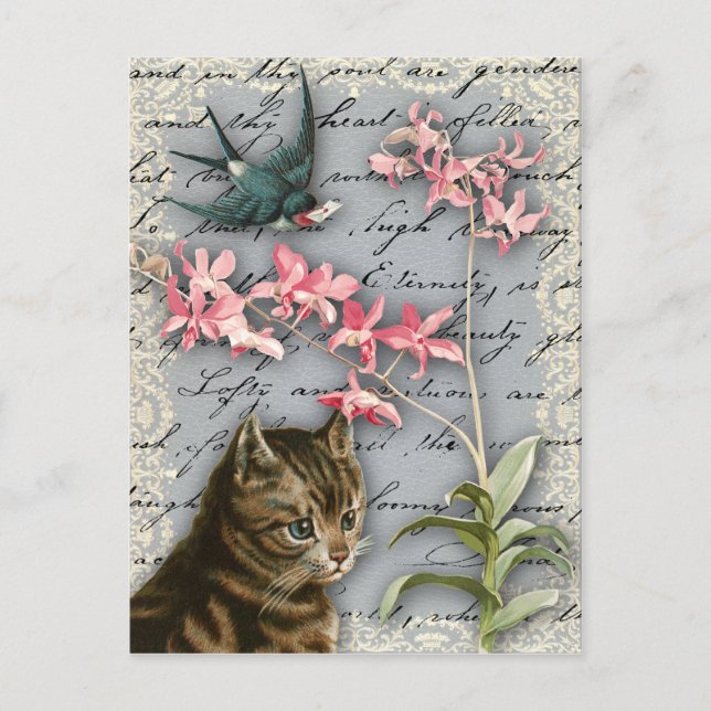 Postal del Collage Orquídea Vintage (Anverso)